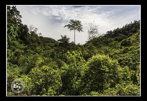 Rezervácia Green life na Sumatre. (autor: Prales deťom (http://pralesdetem.cz/fotogalerie/))